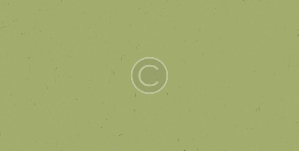bg_green-scaled.jpg